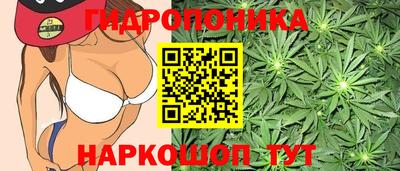 спиды Кунгур