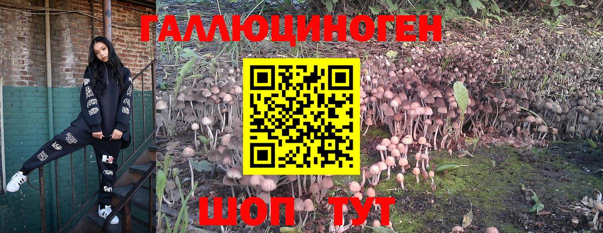 Шарыпово  даркнет сайт  Галлюциногенные грибы прущие грибы  Вход с VPN  Псилоцибиновые грибы MAGIC MUSHROOMS 